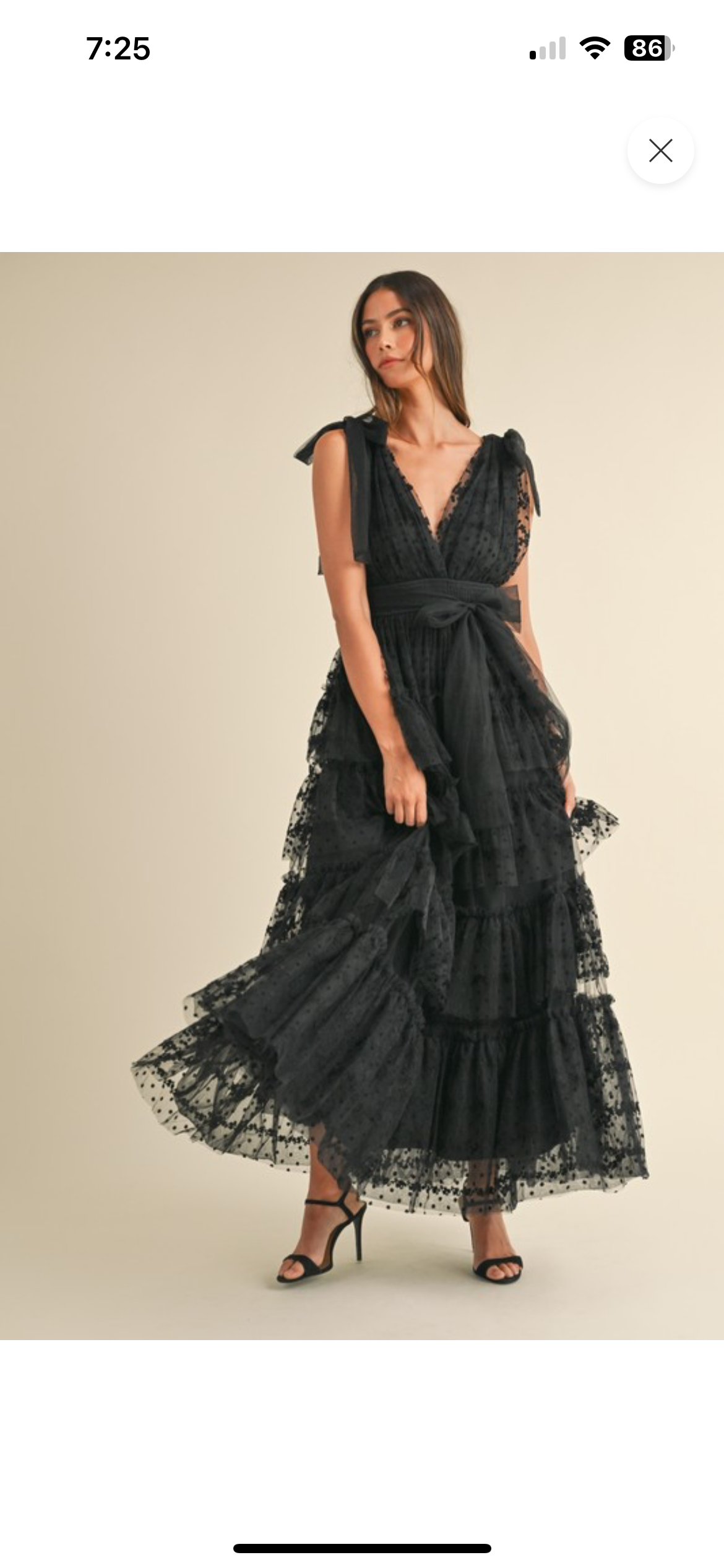 Polka Dot Lace Mesh Dress