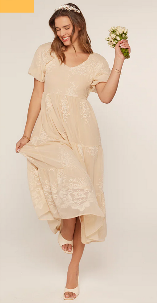 Embroidered Chiffon Dress